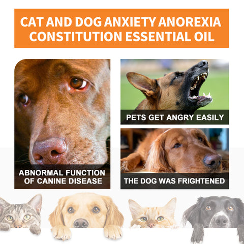 Yegbong Cat And Dog Care Essence, Pet Cat And Dog Enhance Health Eat Care Sesame Seed Oil Essence