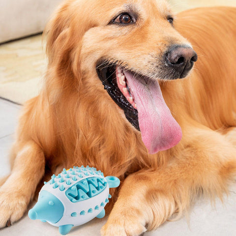 Pet Leakage Ball Toy Dog Teeth Training Ball Dog Chew Toys Pet Food Dispenser Toy