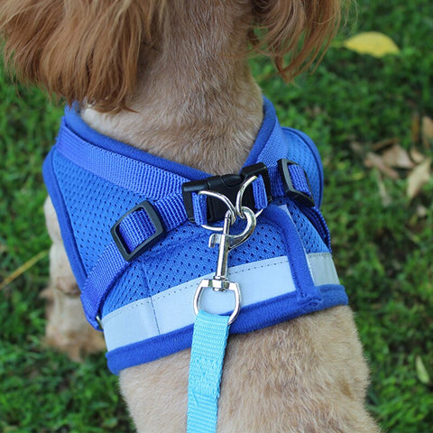 Reflective Safety Pet Dog Harness and Leash Set for Small Medium Dogs Cat Harnesses Vest Puppy Chest Strap Pet accessories