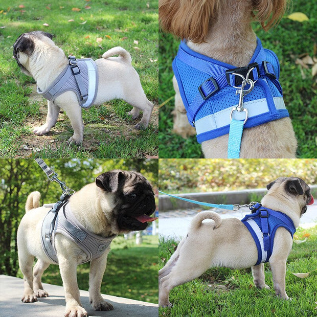 Reflective Safety Pet Dog Harness and Leash Set for Small Medium Dogs Cat Harnesses Vest Puppy Chest Strap Pet accessories